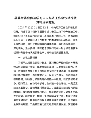 县委常委会传达学习中央经济工作会议精神及贯彻落实意见.docx