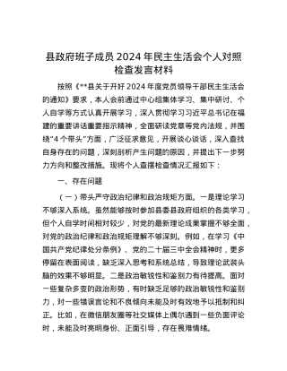 县政府班子成员2024年民主生活会个人对照检查发言材料.docx