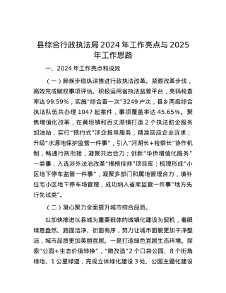 县综合行政执法局2024年工作亮点与2025年工作思路.docx