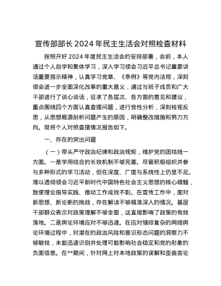 宣传部部长2024年民主生活会对照检查材料.docx