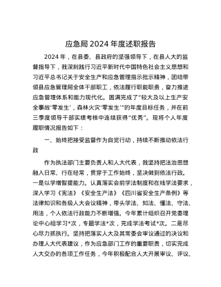 应急局2024年度述职报告.docx