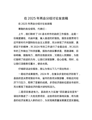 在2025年两会分组讨论发言稿.docx
