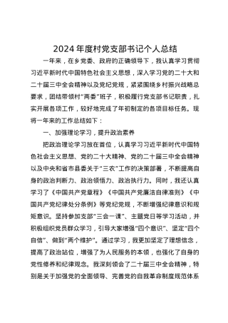 2024年度村党支部书记个人总结.docx