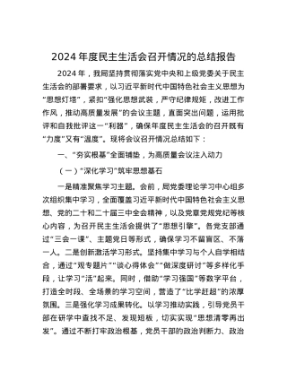 2024年度民主生活会召开情况的总结报告.docx