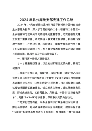2024年县分局党支部党建工作总结.docx