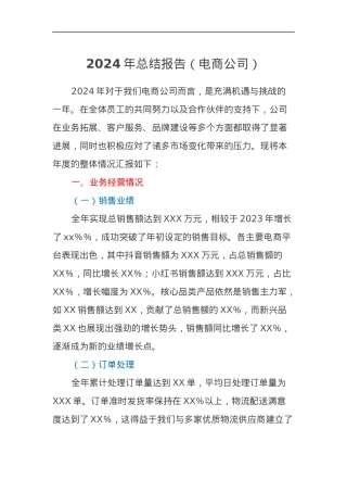 2024年总结报告（电商公司）.docx