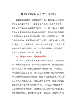 X 镇 2024 年人大工作总结.docx