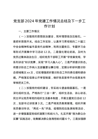 党支部2024年党建工作情况总结及下一步工作计划.docx
