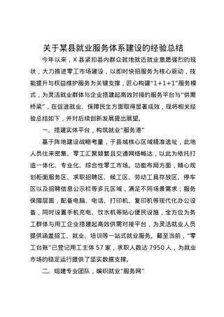 关于某县就业服务体系建设的经验总结.docx