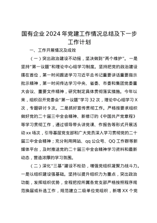 国有企业2024年党建工作情况总结及下一步工作计划.docx