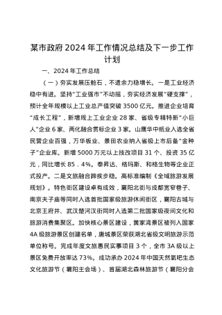 某市政府2024年工作情况总结及下一步工作计划.docx