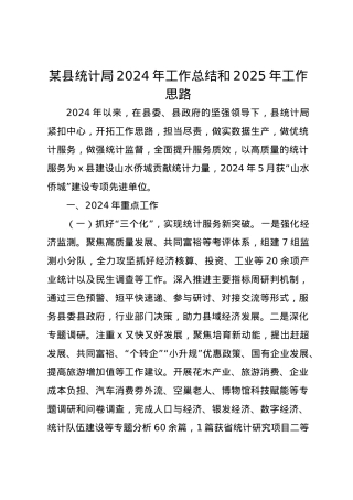某县统计局2024年工作总结和2025年工作思路.docx