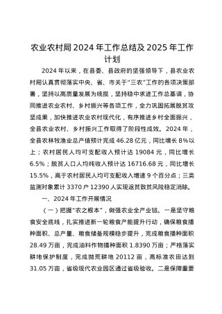 农业农村局2024年工作总结及2025年工作计划.docx