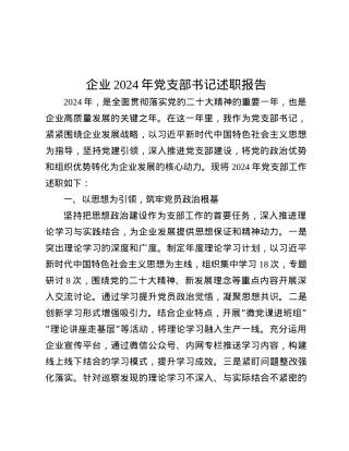 企业2024年X支部书记述职报告.docx