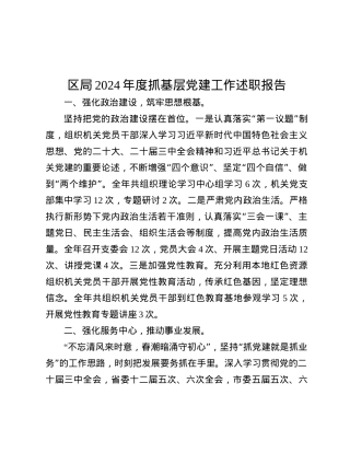 区局2024年度抓基层X建工作述职报告.docx