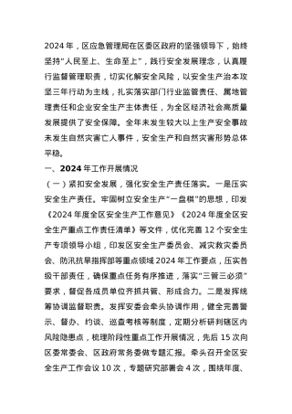 区应急管理局2024年工作总结及2025年工作计划.docx