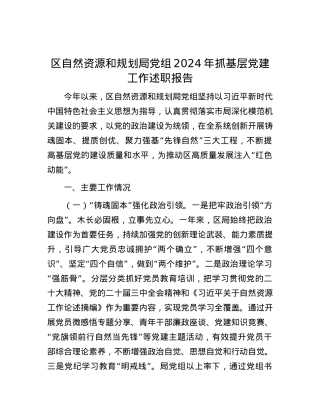 区自然资源和规划局X组2024年抓基层X建工作述职报告.docx