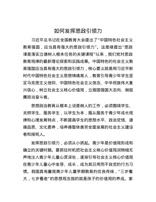 如何发挥思政引领力.docx