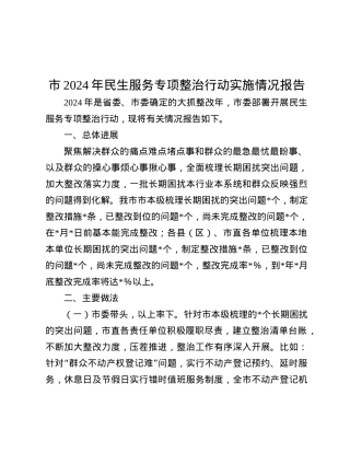 市2024年民生服务专项整治行动实施情况报告.docx