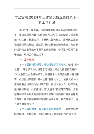 市公安局2024年工作情况情况总结及下一步工作计划.docx