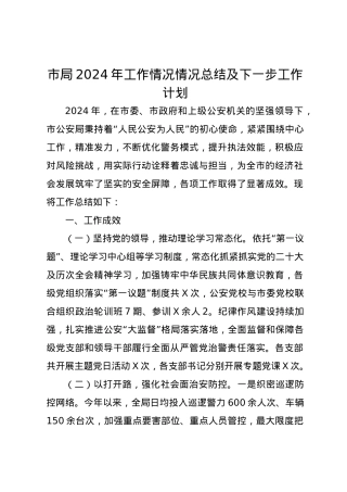 市局2024年工作情况情况总结及下一步工作计划.docx