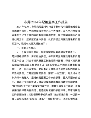 市局2024年纪检监察工作报告.docx