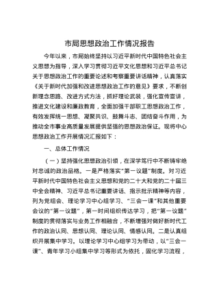 市局思想ZZ工作情况报告.docx