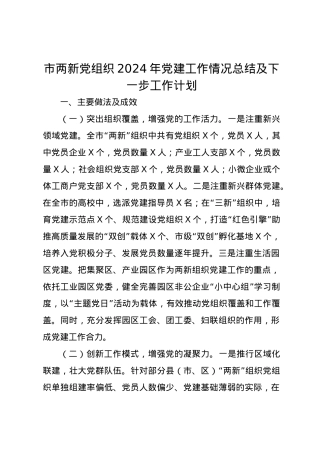 市两新党组织2024年党建工作情况总结及下一步工作计划.docx