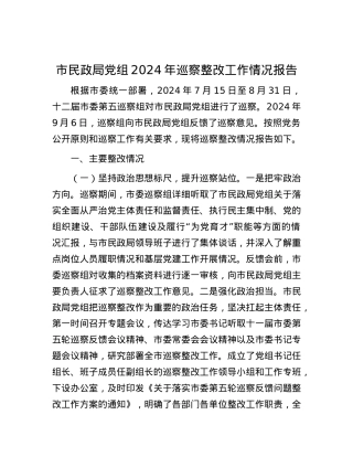 市民政局X组2024年巡察整改工作情况报告.docx