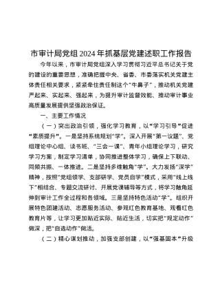 市审计局X组2024年抓基层X建述职工作报告.docx