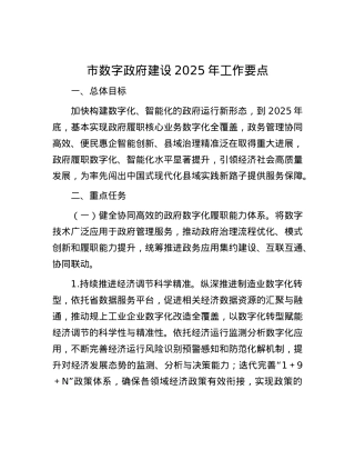 市数字政府建设2025年工作要点.docx