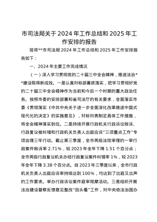 市司法局关于2024年工作总结和2025年工作安排的报告.docx