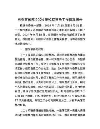 市委宣传部2024年巡察整改工作情况报告.docx