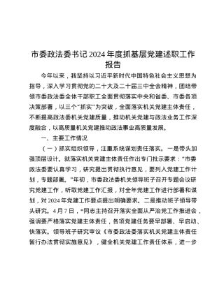 市委政法委书记2024年度抓基层X建述职工作报告.docx