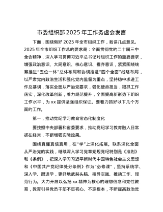 市委组织部2025年工作务虚会发言.docx