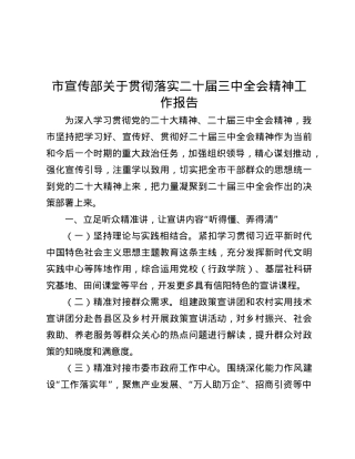 市宣传部关于贯彻落实二十届三中全会精神工作报告.docx