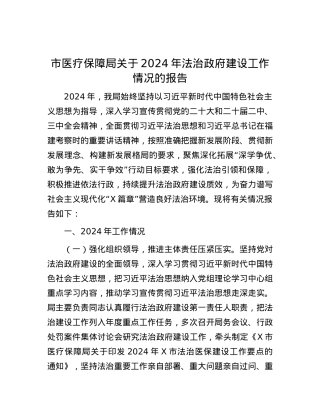 市医疗保障局关于2024年法治政府建设工作情况的报告.docx