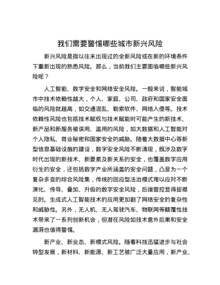 我们需要警惕哪些城市新兴风险.docx