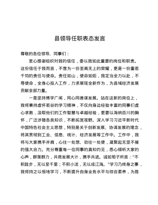 县领导任职表态发言.docx
