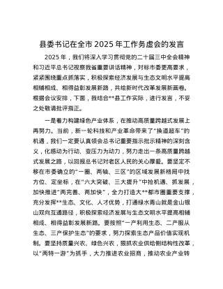 县委书记在全市2025年工作务虚会的发言.docx