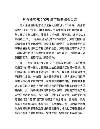 县委组织部2025年工作务虚会发言.docx