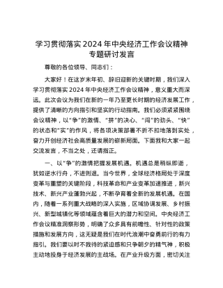 学习贯彻落实2024年中央经济工作会议精神专题研讨发言.docx