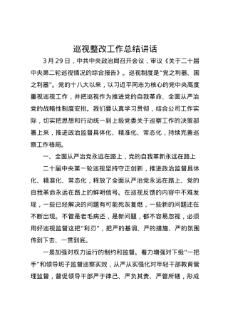 巡视整改工作总结讲话.docx