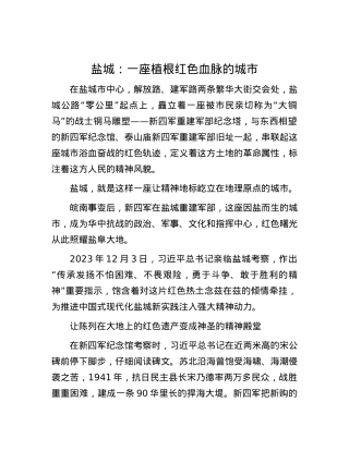盐城：一座植根红色血脉的城市.docx
