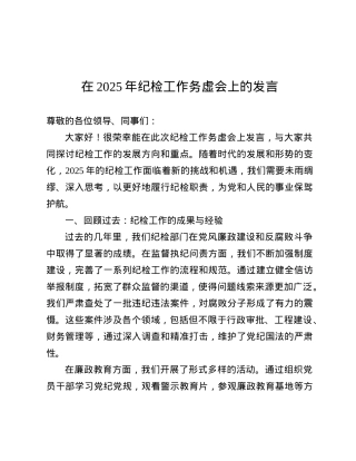 在 2025 年纪检工作务虚会上的发言.docx