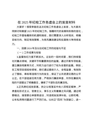 在2025年纪检工作务虚会上的发言材料.docx