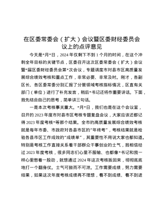 在区委常委会（扩大）会议暨区委财经委员会议上的点评意见.docx