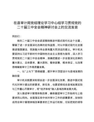 在县审计局X组理论学习中心组学习贯彻X的二十届三中全会精神研讨会上的交流发言.docx