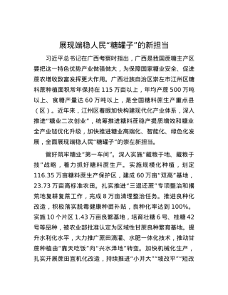 展现端稳人民“糖罐子”的新担当.docx