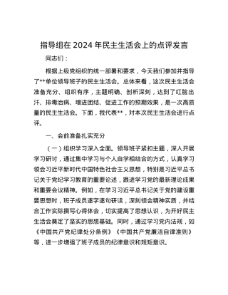 指导组在2024年民主生活会上的点评发言.docx